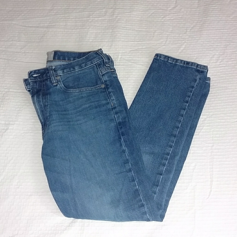 Everlane Modern Boyfriend Jean Mid Blue